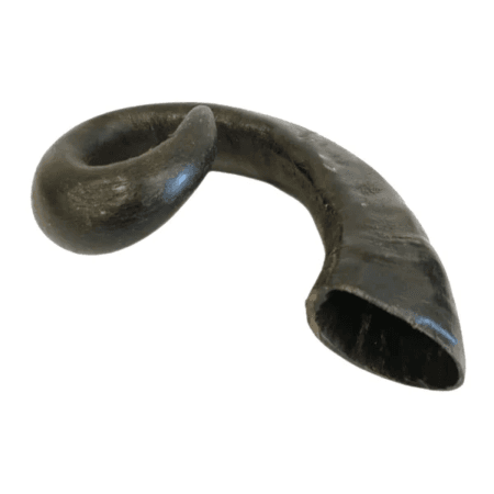 buffalo horn